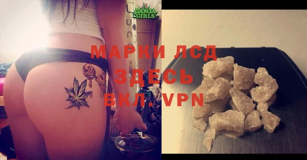 крисы Щёлкино