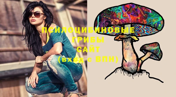 спиды Щигры