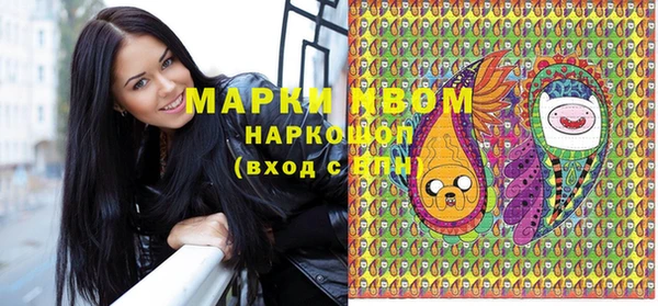 спиды Щигры