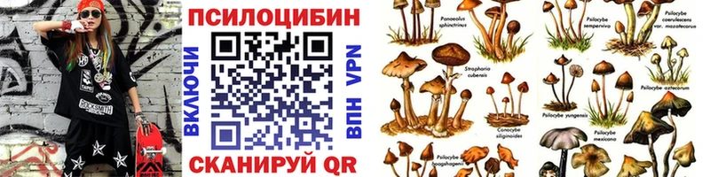 Купить где  Фурманов  Галлюциногенные грибы ЛСД 